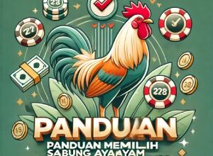 Panduan Memilih Sabung Ayam Online Terbaik di S128